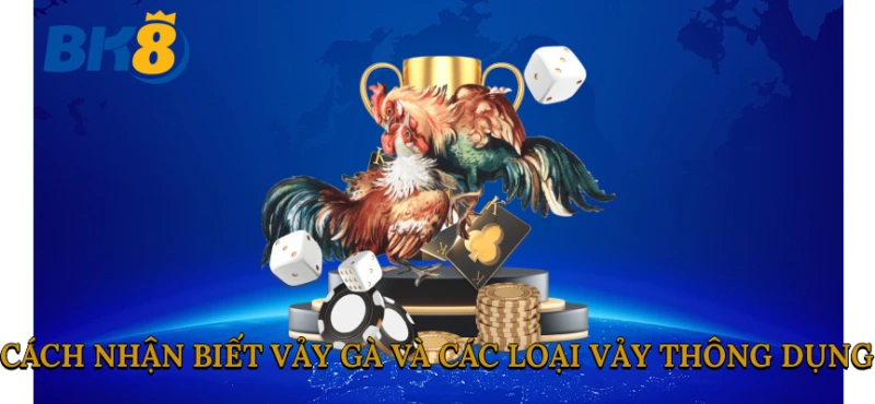 Cách nhận biết vảy gà và các loại vảy thông dụng